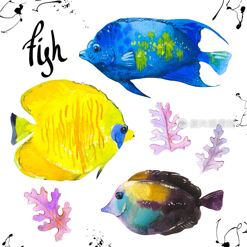 Set of tropical marine fish. Watercolor illustration with hand drawn aquarium exotic  on white backgroun